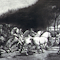 After Rosa Bonheur